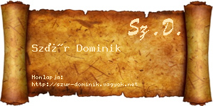 Szür Dominik névjegykártya